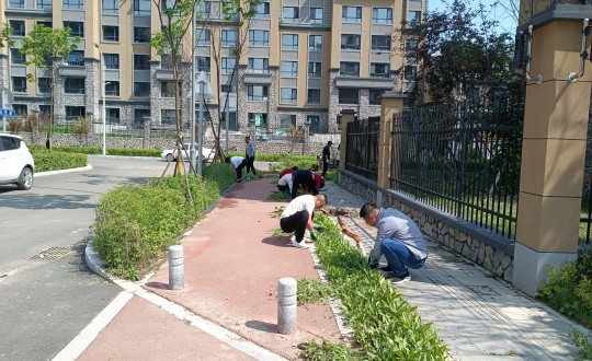 8.長白山運(yùn)營公司山河府項目組進(jìn)行市政道路拓荒工作_副本.jpg